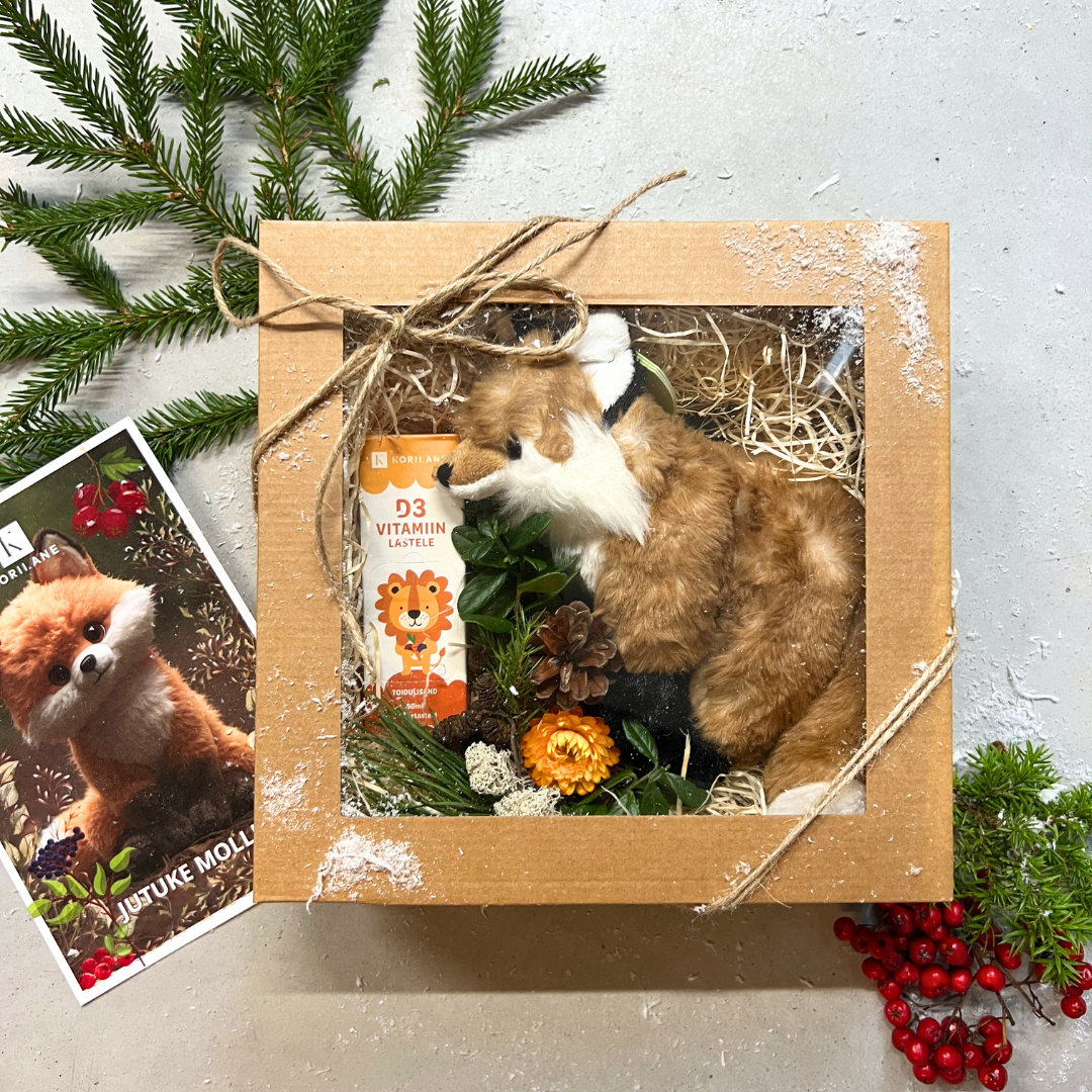 Rebane Molli ja Päikesevägi Jõulukomplekt lapsele