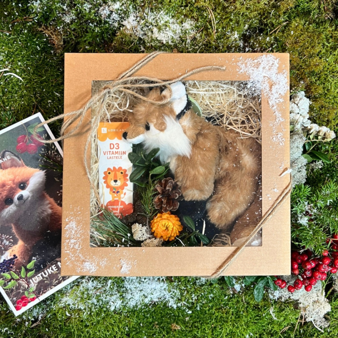 Rebane Molli ja Päikesevägi Jõulukomplekt lapsele