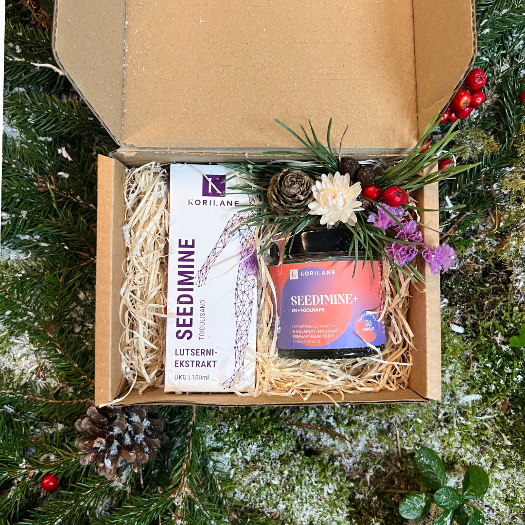 Seedimise Hoolitsus Jõulukomplekt