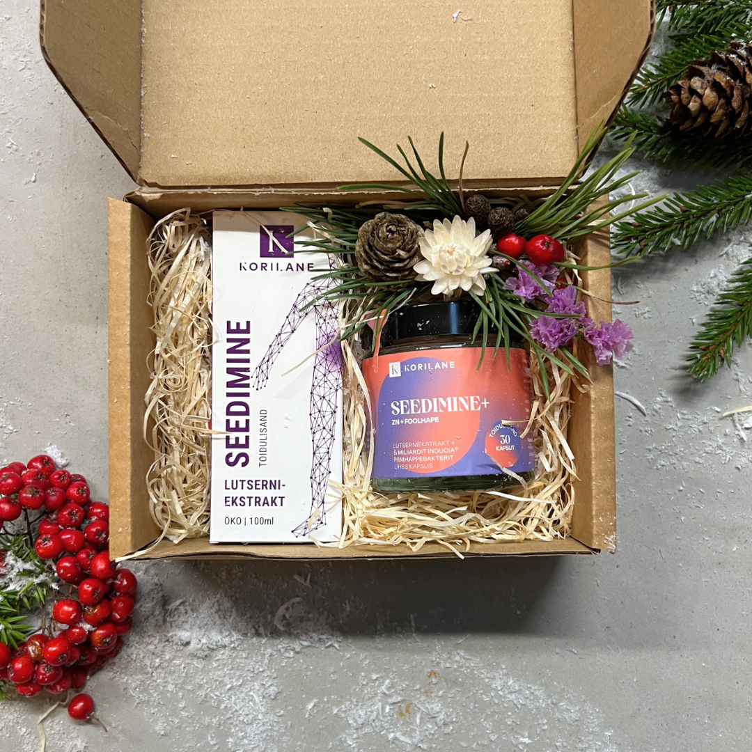 Seedimise Hoolitsus Jõulukomplekt